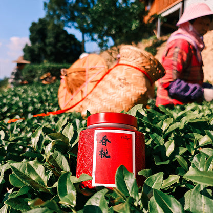 Spring Blossom Wuyi Oolong 50g Chaliland