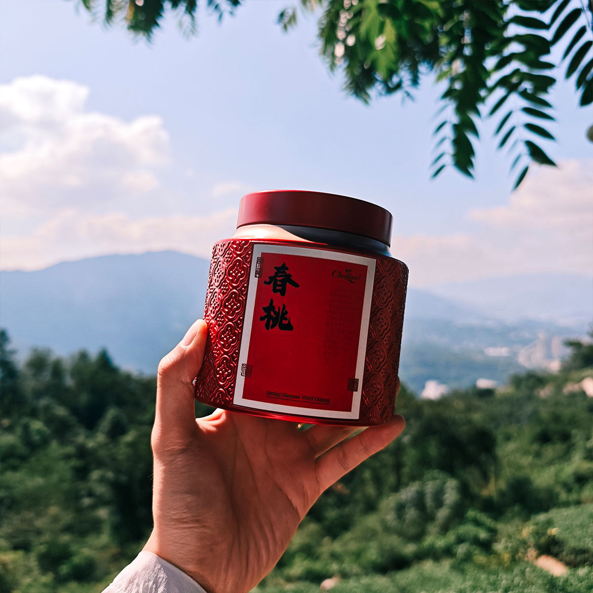 Spring Blossom Wuyi Oolong 50g Chaliland