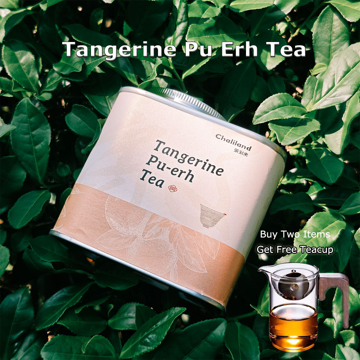 Tangerine Pu Erh Tea 90g Chaliland