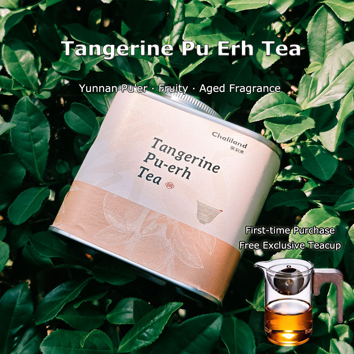 Tangerine Pu Erh Tea 90g Chaliland