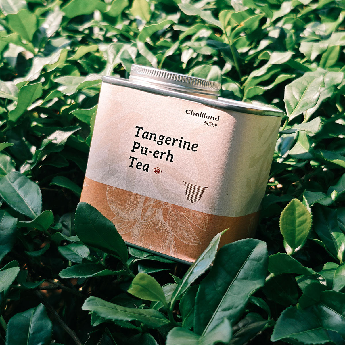 Tangerine Pu Erh Tea 90g Chaliland