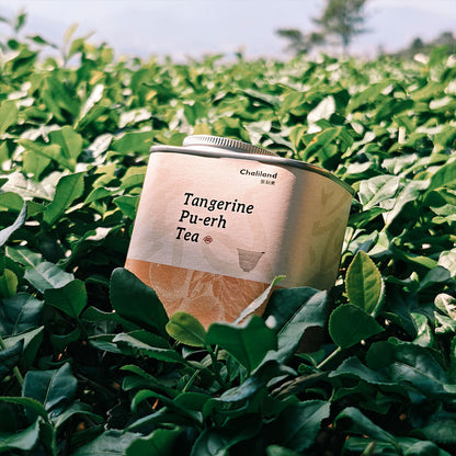 Tangerine Pu Erh Tea 90g Chaliland