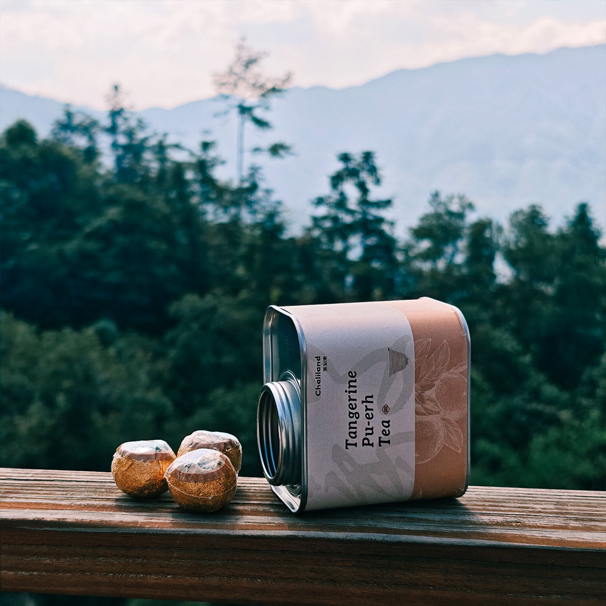 Tangerine Pu Erh Tea 90g Chaliland