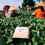 Tangerine Pu Erh Tea 90g Chaliland