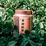 Wild Ancient Tree Black Tea 75g Chaliland