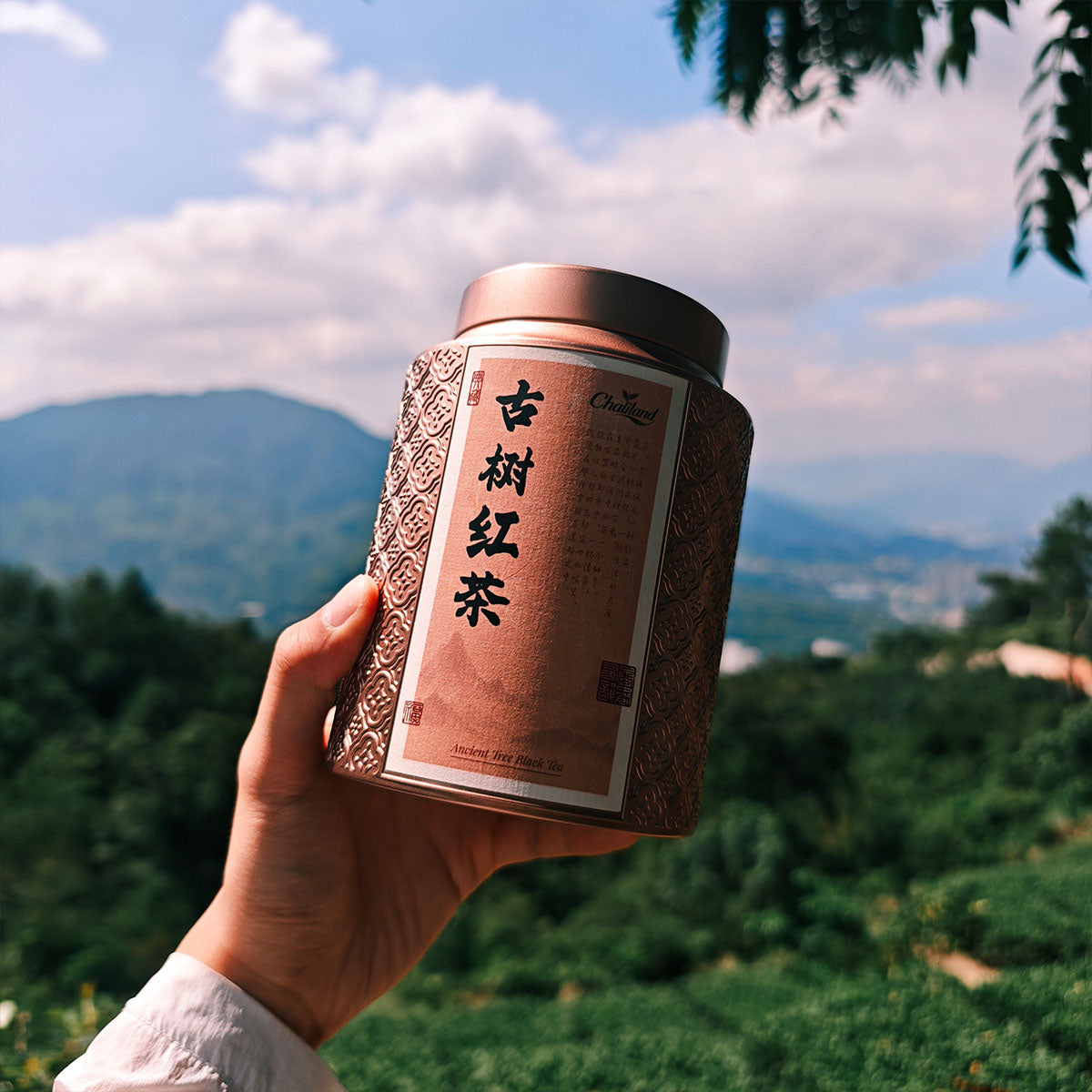 Wild Ancient Tree Black Tea 75g Chaliland