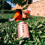 Wild Ancient Tree Black Tea 75g Chaliland