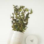 Wild Tribute White Tea 25g Chaliland