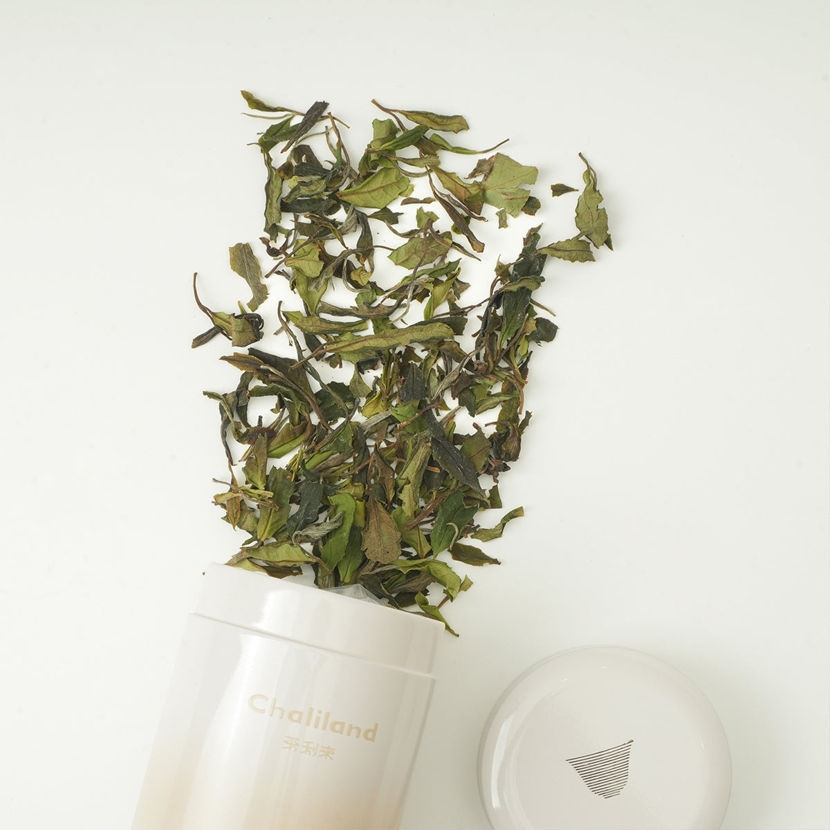 Wild Tribute White Tea 25g Chaliland