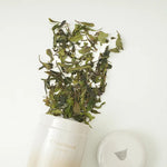 Wild Tribute White Tea 25g Chaliland