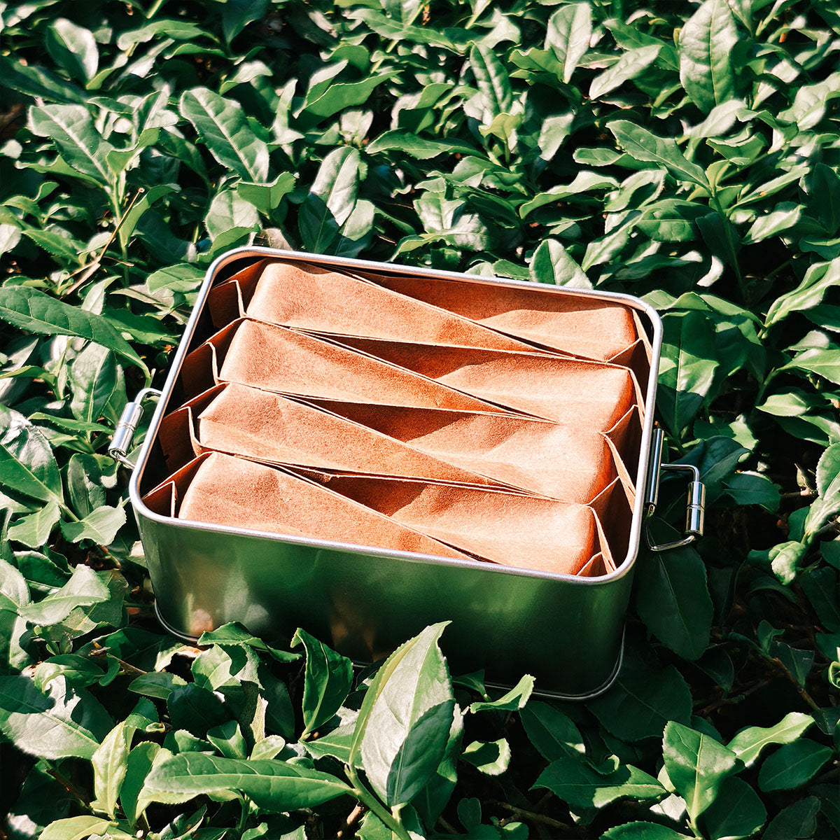 Wilderness Black Tea 40g Chaliland