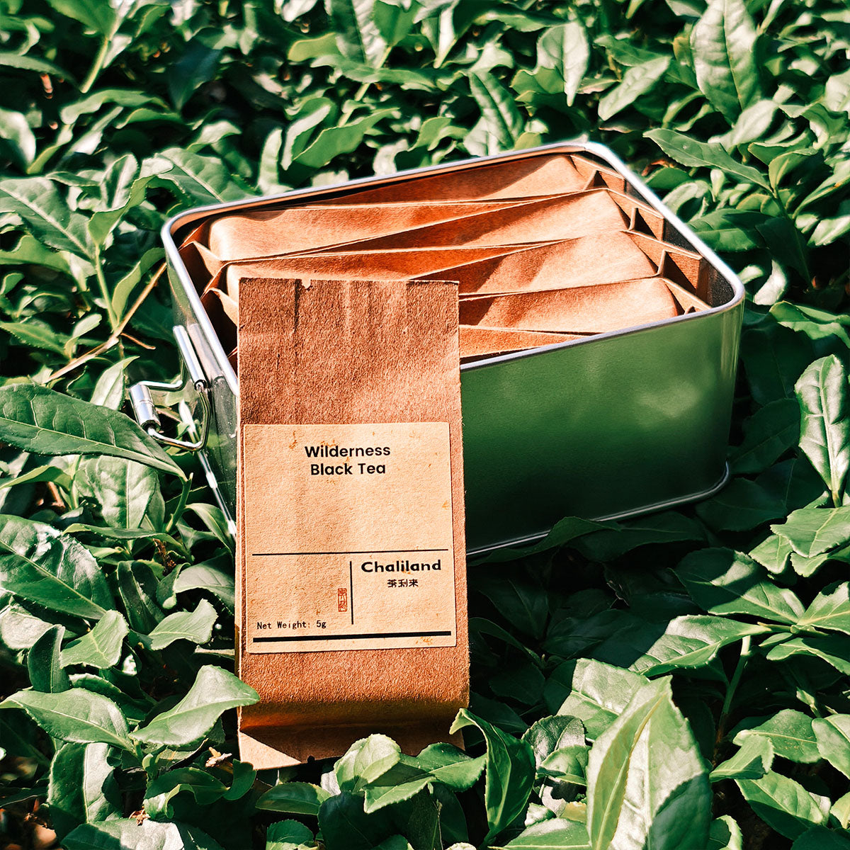 Wilderness Black Tea 40g Chaliland