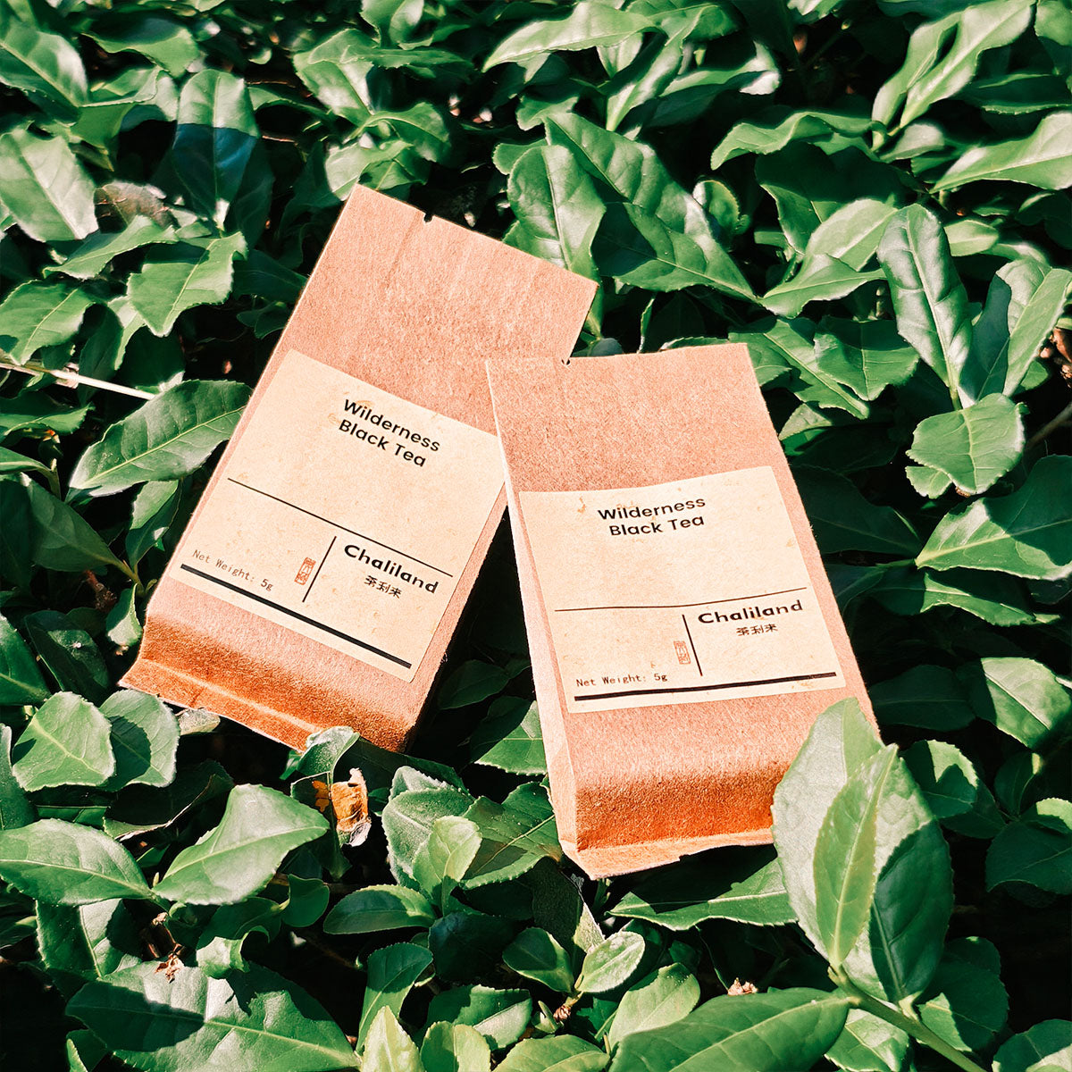 Wilderness Black Tea 40g Chaliland