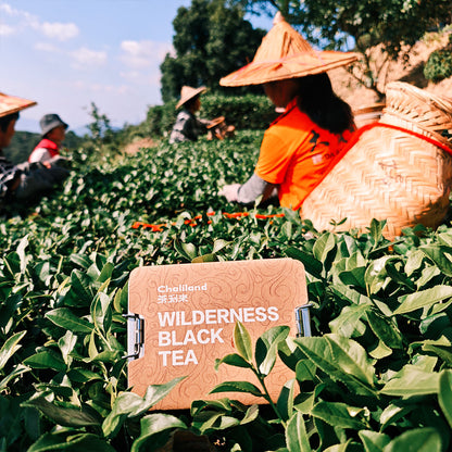 Wilderness Black Tea 40g Chaliland