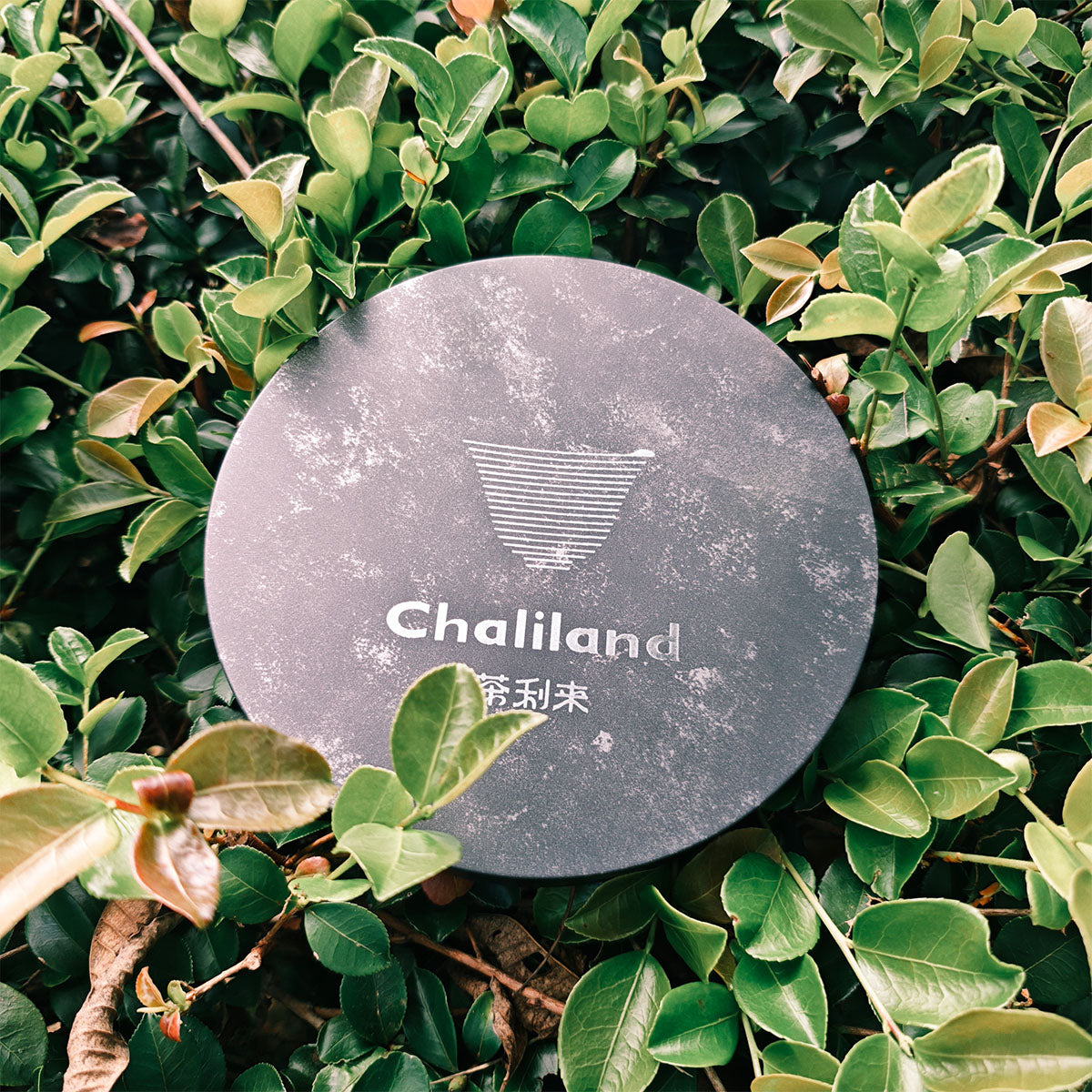 Phoenix Mountain Ripe Pu Erh Tea 357g Chaliland