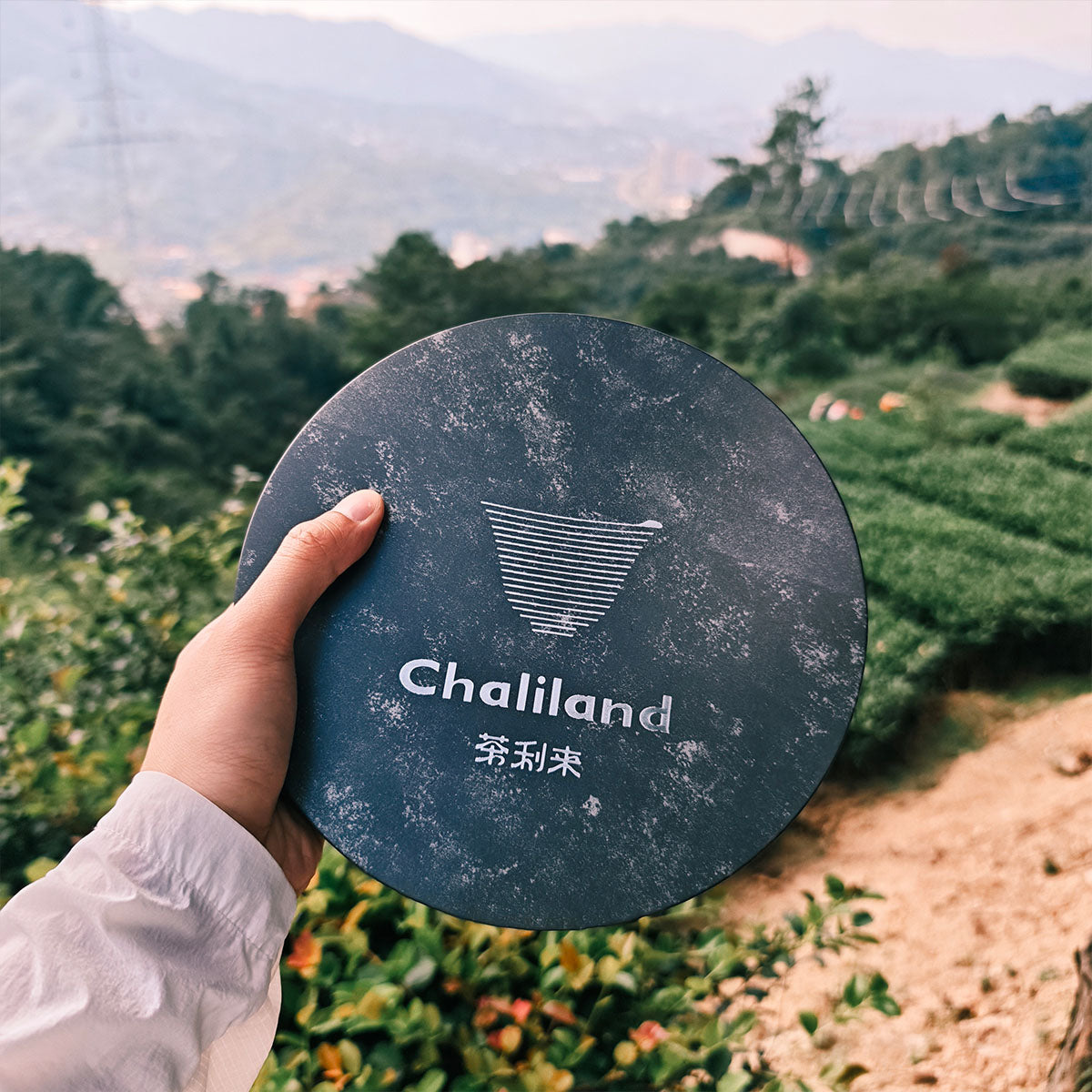 Yiwu Raw Pu Erh Tea 357g Chaliland