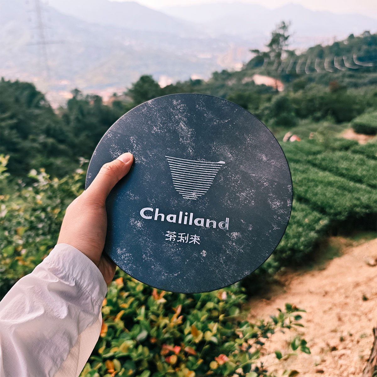 Phoenix Mountain Ripe Pu Erh Tea 357g Chaliland