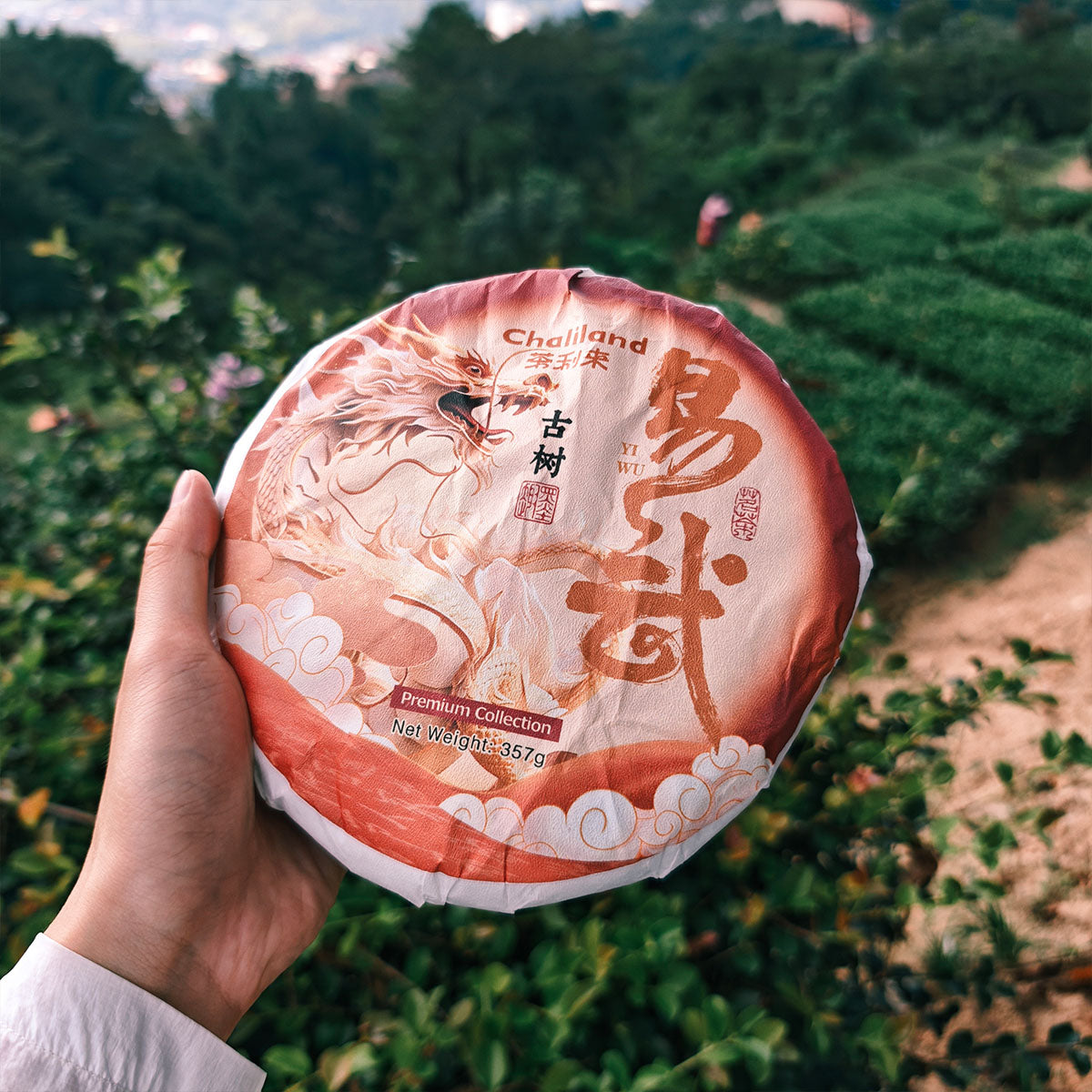 Yiwu Raw Pu Erh Tea 357g Chaliland