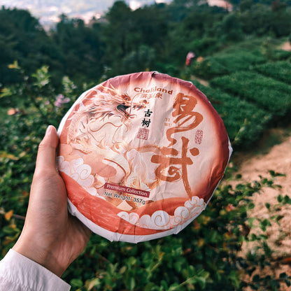 Yiwu Raw Pu Erh Tea 357g Chaliland