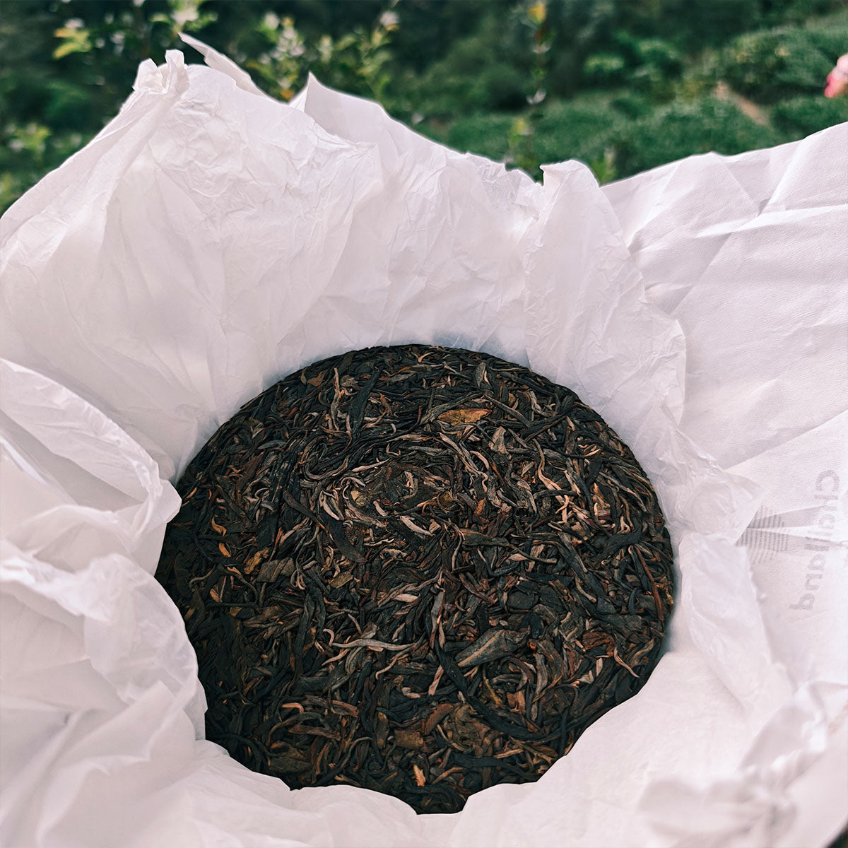 Yiwu Raw Pu Erh Tea 357g Chaliland